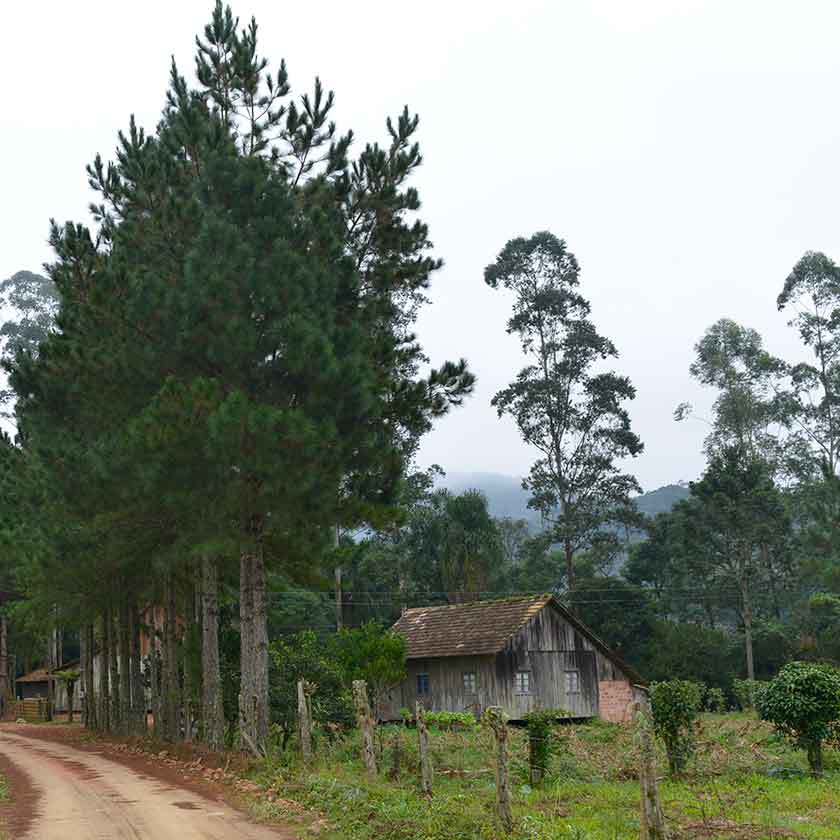 Casa no Ribeirão Manso, limite Jaraguá do Sul Campo Alagre