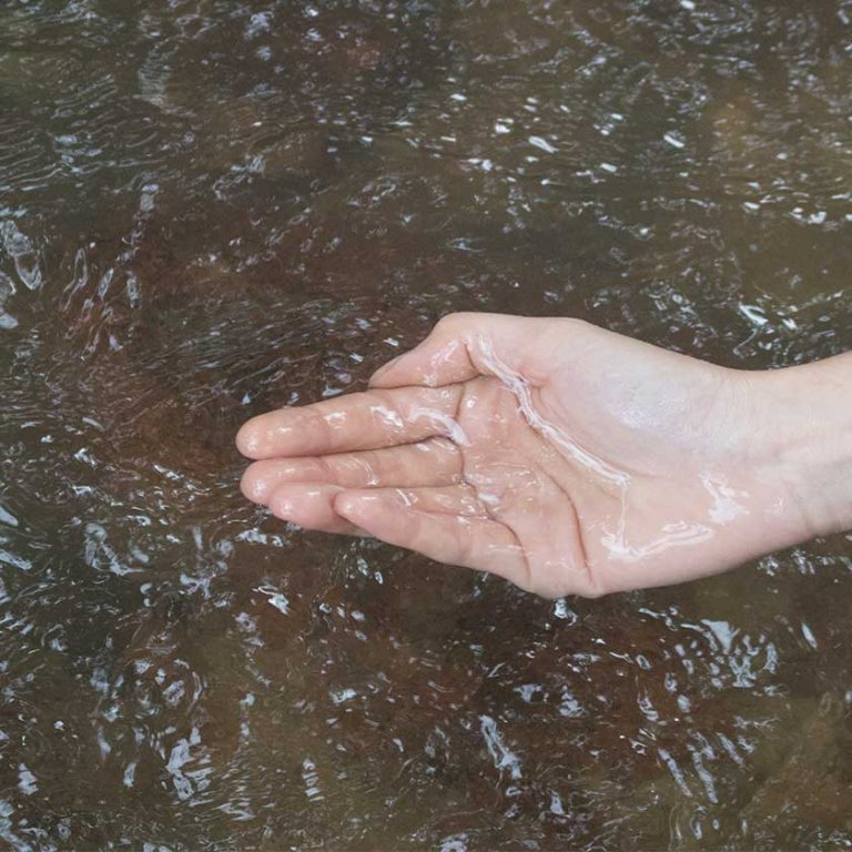 Berço das águas quantos rios existem em Jaraguá do Sul?