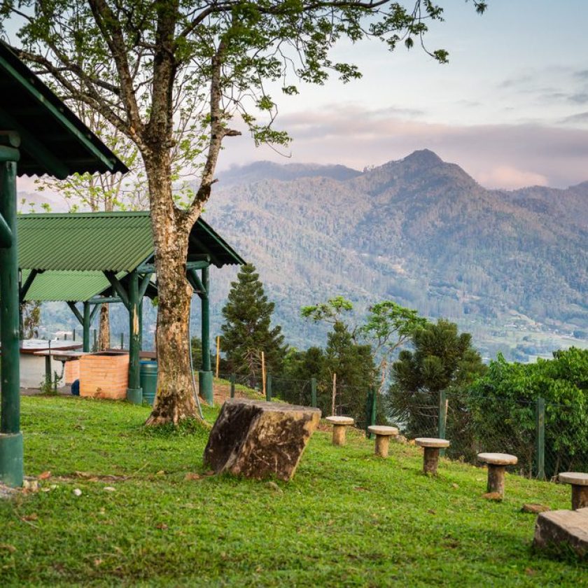 Foto: Divulgação/Prefeitura de Jaraguá do Sul