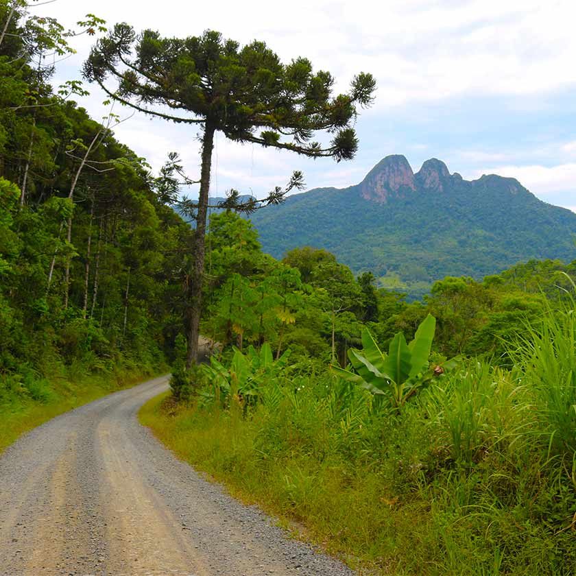 Descobrindo Rio Natal, um passeio rural entre Corupá e São Bento do Sul
